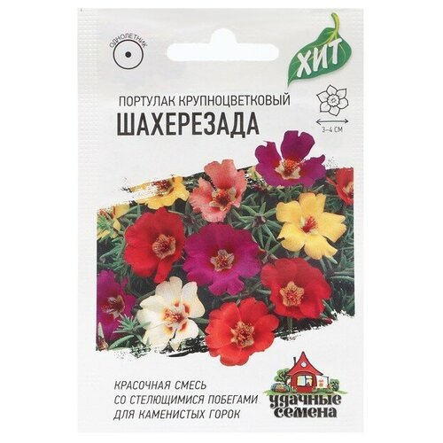 Семена Портулак "Шахерезада"