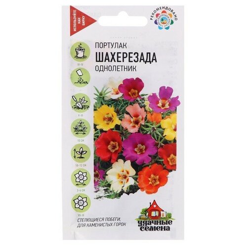 Семена Портулак "Удачные семена" "Шахерезада"