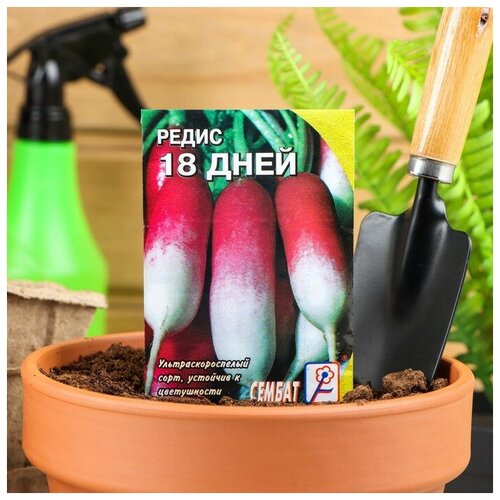 Семена Редис "18 дней"