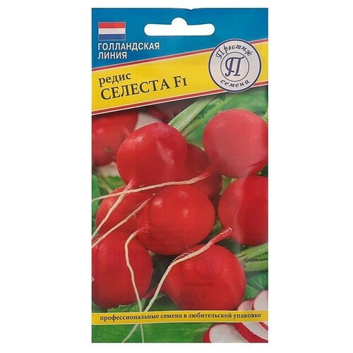 Семена Редис "Аэлита" "Селеста" F1