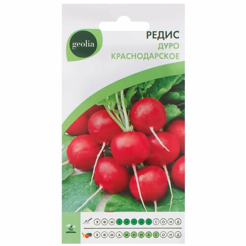 Семена Редис Geolia «Дуро краснодарское» фото