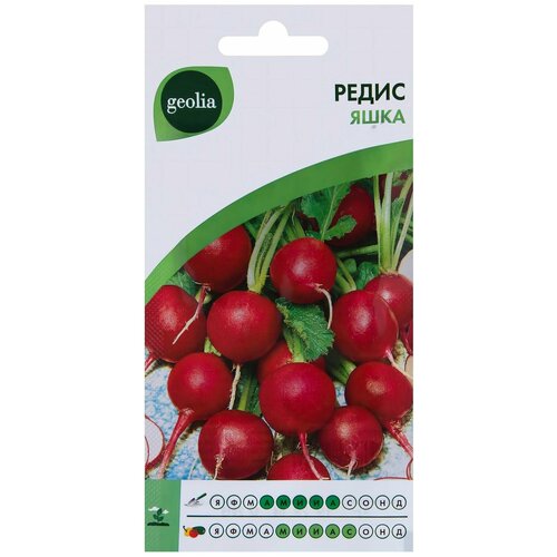 Семена Редис Geolia "Яшка" фото