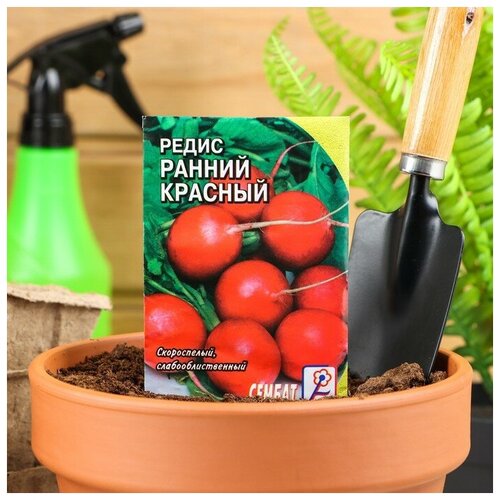 Семена Редис "Ранний красный"