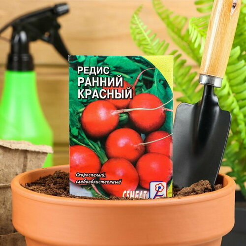 Семена Редис "Ранний красный"