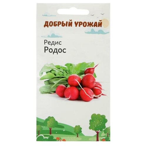 Семена Редис Родос 1 гр фото