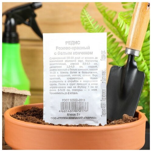 Семена Редис Розово-красный с белым кончиком