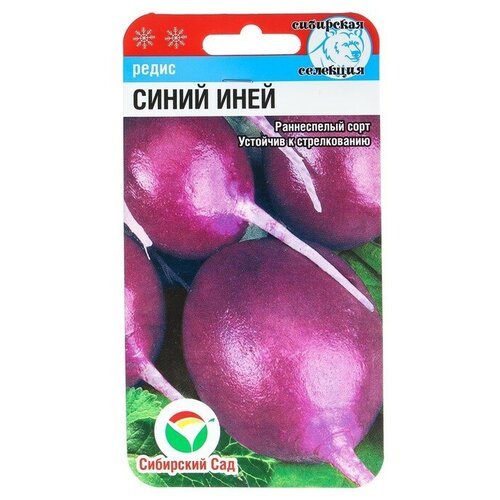 Семена Редис Синий иней