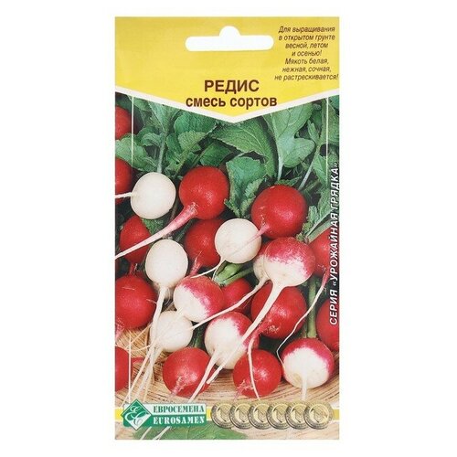 Семена Редис