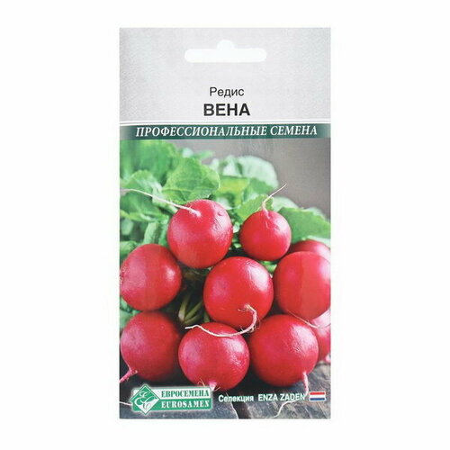 Семена Редис Вена