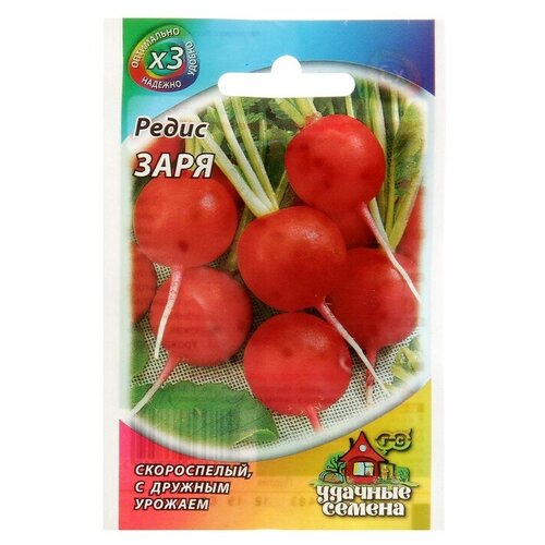Семена Редис "Заря"