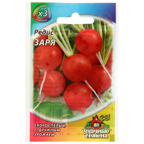 Семена Редис "Заря"
