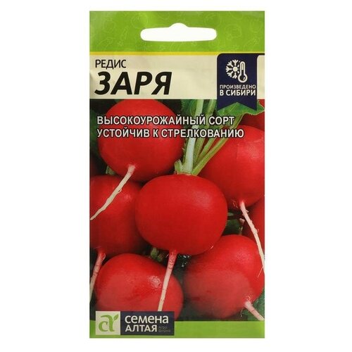 Семена Редис "Заря"