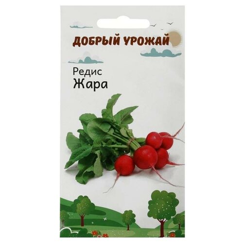 Семена Редис Жара 1 гр фото