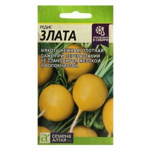 Семена Редис 'Злата'