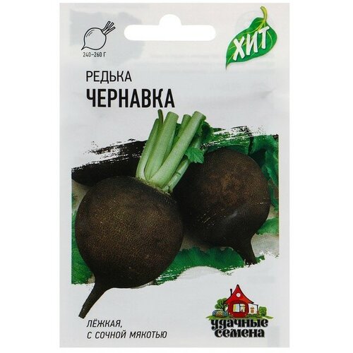 Семена Редька "Чернавка"
