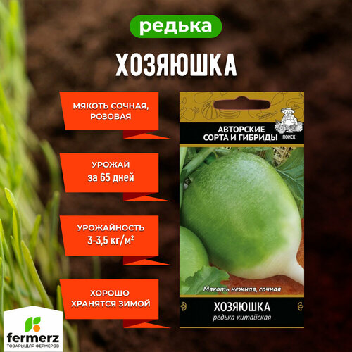 Семена Редька китайская Хозяюшка 2гр. фото