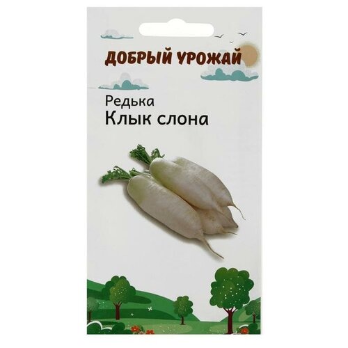 Семена Редька Клык слона 0