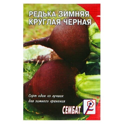 Семена Редька "Зимняя круглая черная"