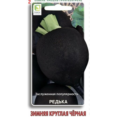 Семена редька Зимняя круглая черная 5г (2 шт.) фото