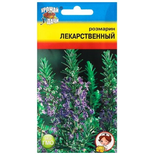 Семена Розмарин "Лекарственный"