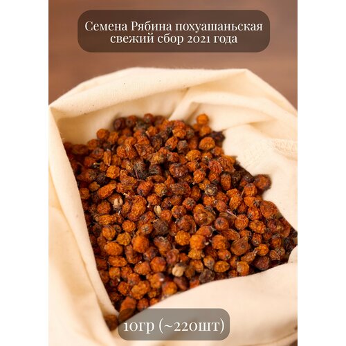 Семена Рябины Амурской