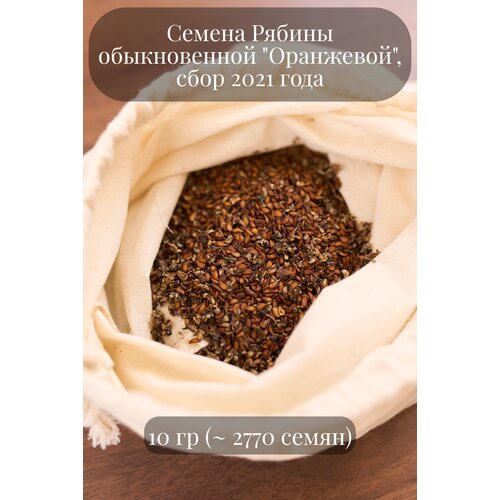 Семена Рябины обыкновенной "Оранжевой"