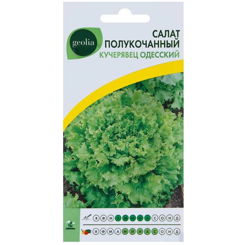 Семена Салат Geolia "Кучерявец одесский" фото