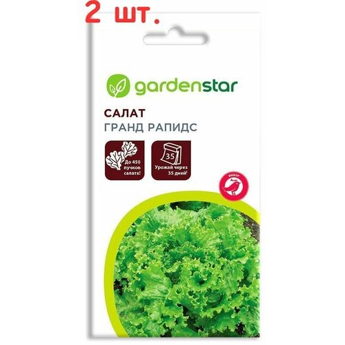 Семена Салат Гранд рапидс