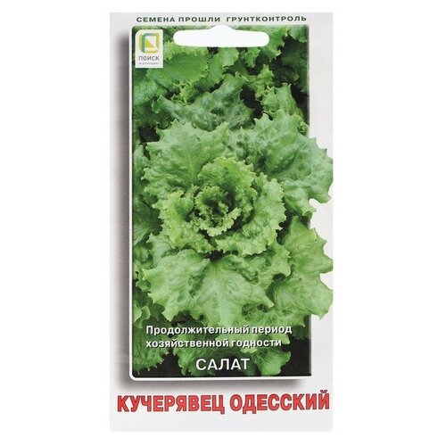 Семена Салат "Кучерявец Одесский" 1 г фото