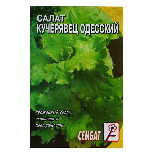 Семена Салат "Кучерявец одесский"