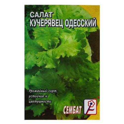 Семена Салат "Кучерявец одесский"