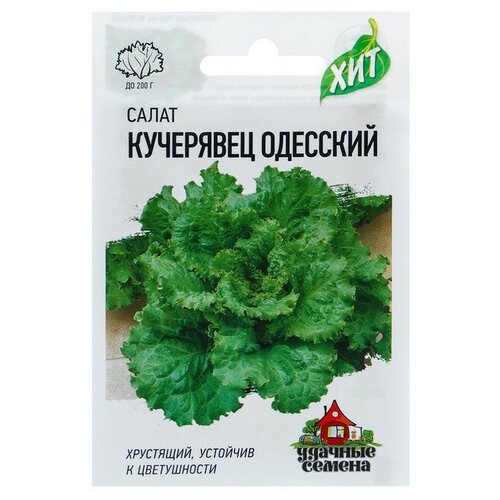 Семена Салат 'Кучерявец Одесский' хрустящий