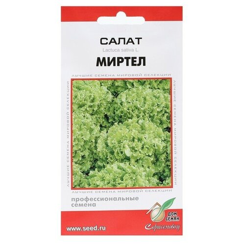 Семена Салат "Миртел"