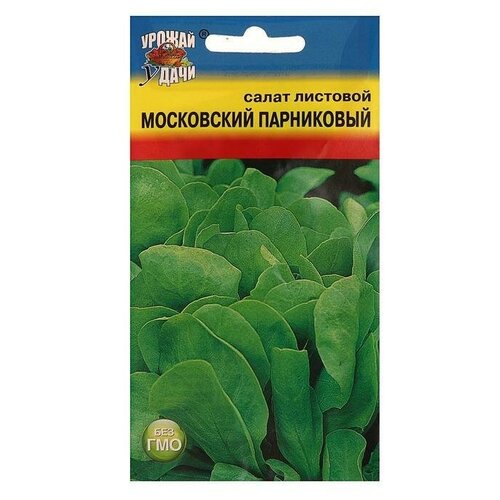 Семена Салат Московский парниковый лист