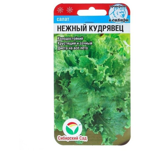 Семена Салат "Нежный кудрявец"