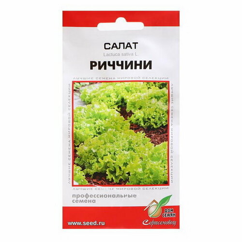 Семена Салат "Риччини"