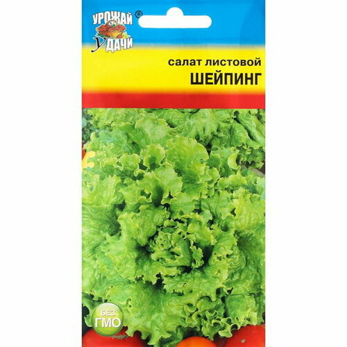 Семена Салат "Шейпинг"