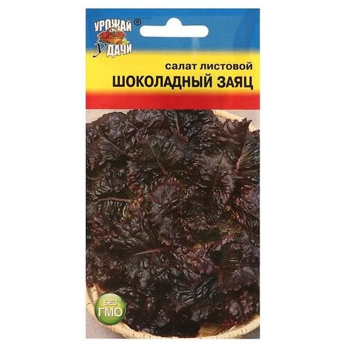 Семена Салат "шоколадный заяц"