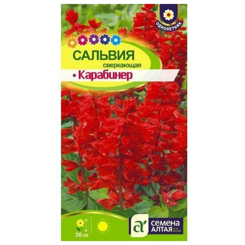 Семена "Сальвия. Карабинер сверкающая"