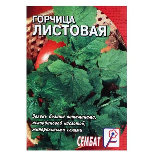 Семена СЕМБАТ Горчица Листовая