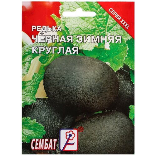 Семена СЕМБАТ ХХХL Редька Зимняя круглая черная