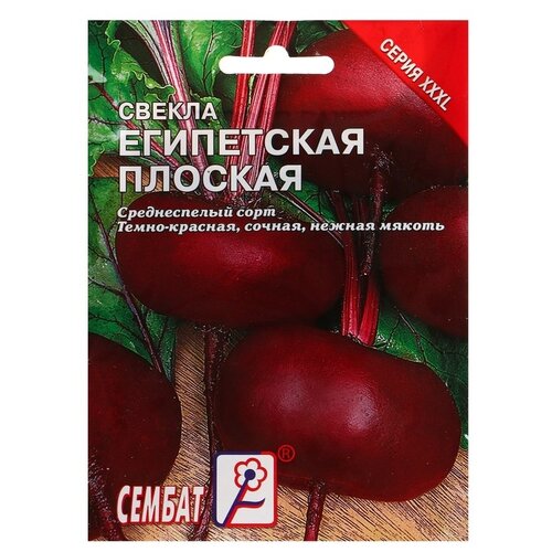 Семена СЕМБАТ ХХХL Свекла Египетская плоская