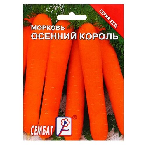 Семена СЕМБАТ Морковь Осенний король