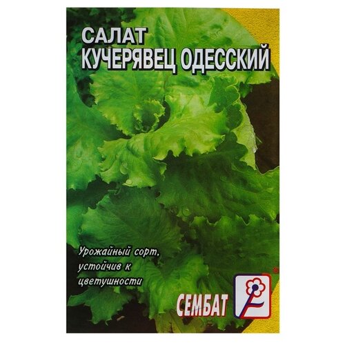 Семена СЕМБАТ Салат Кучерявец одесский фото