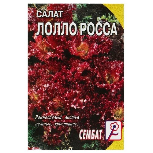 Семена СЕМБАТ Салат Лолло-росса