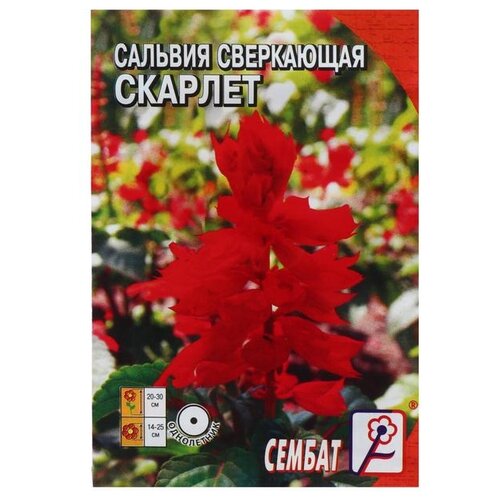Семена СЕМБАТ Сальвия сверкающая Скарлет