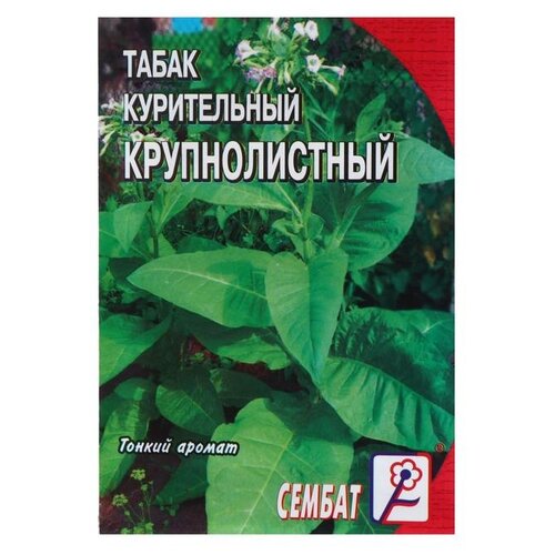 Семена СЕМБАТ Табак курительный Крупнолистный 512 0.01 г фото