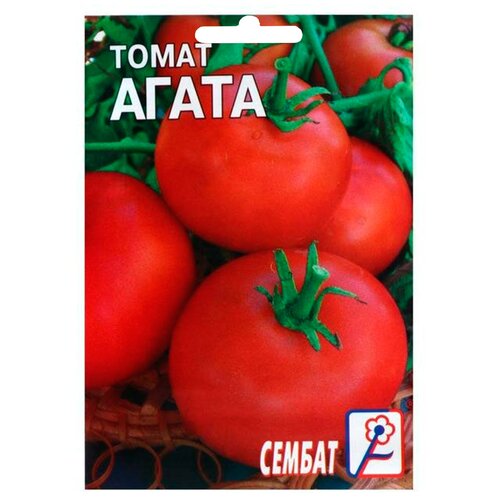 Семена СЕМБАТ томат Агата
