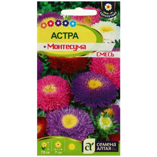 Семена Семена Алтая Астра Монтесума