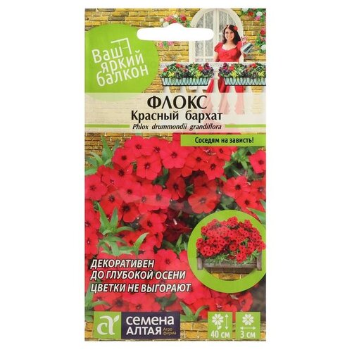 Семена Семена Алтая Флокс Красный бархат друммонда 0.1 г фото